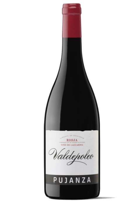 Pujanza Valdepoleo